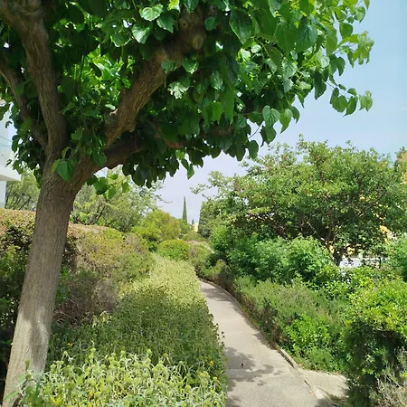 Jasmin Ιέρ