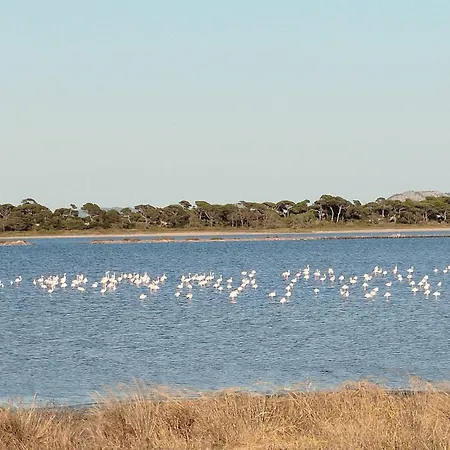 Jasmin アパート イエール